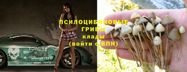 марки lsd Инсар
